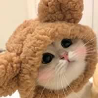 心理咨询学员张先生：青少年心理咨询